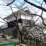 PA270055 2.JPG